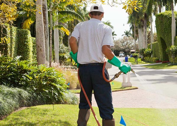 About Lavelle PA Pest Control